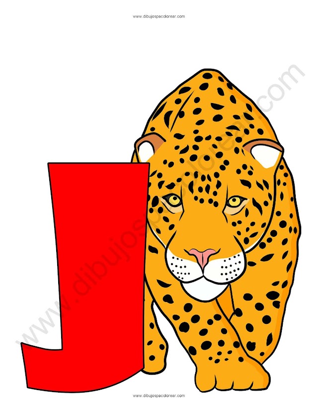 Letra J Jaguar abecedario dibujo a color y para colorear